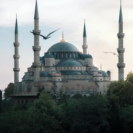Hamitbey Yenikapi Istanbul